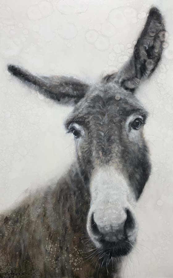 Image of Rainy Day Donkey by David Frederick Riley