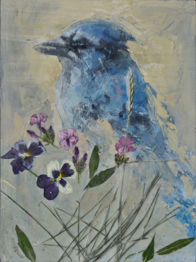 Image of Jay Considered by Mary Roberson