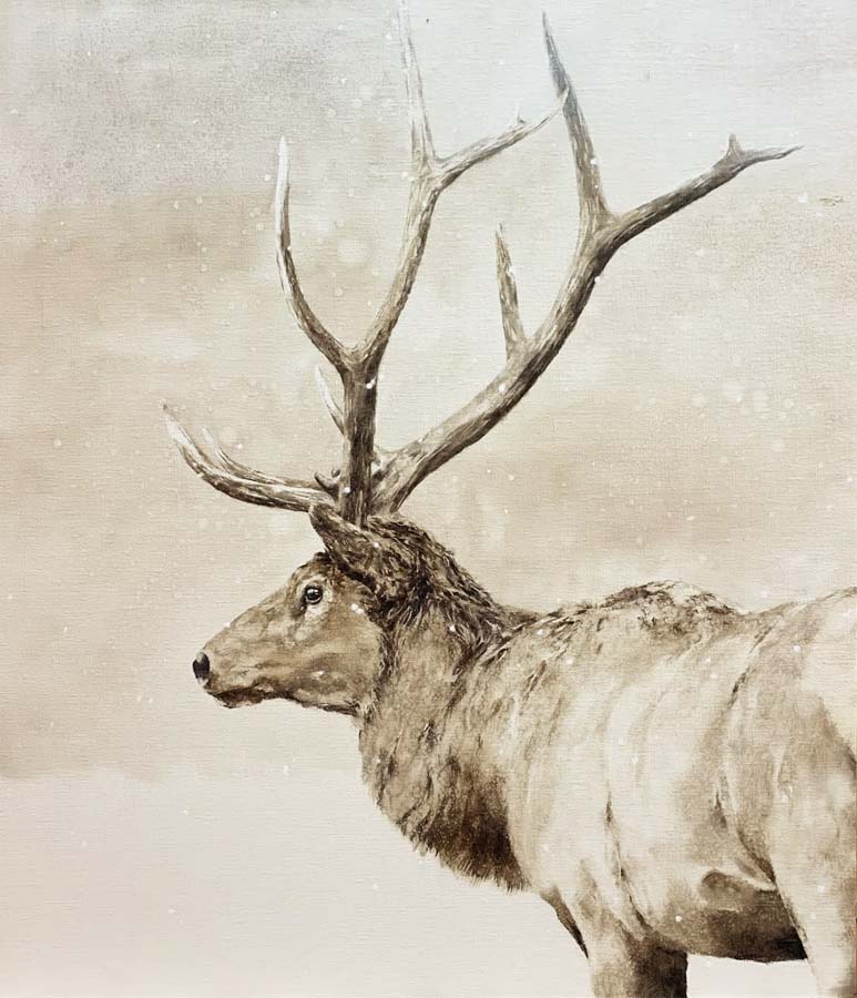 Image of Wapiti Wonder by September Vhay