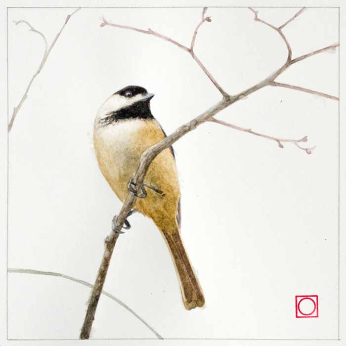 Image of Chickadee by Benjamin M Johnson