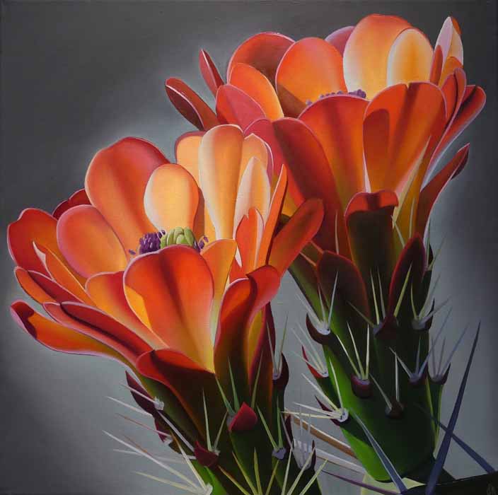 Image of Cheers Claret Cup Cactus Blooms by Dyana Hesson