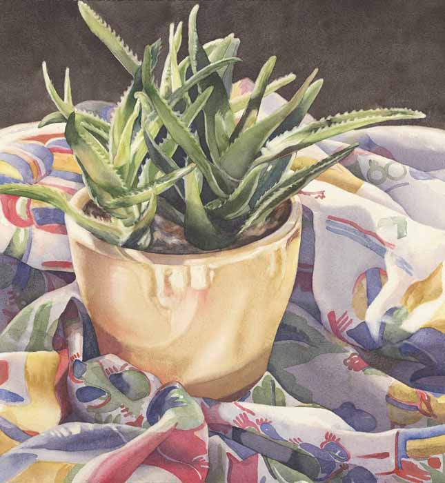 Image of Aloe in a Yellow Pot by Kathrine Lemke Waste