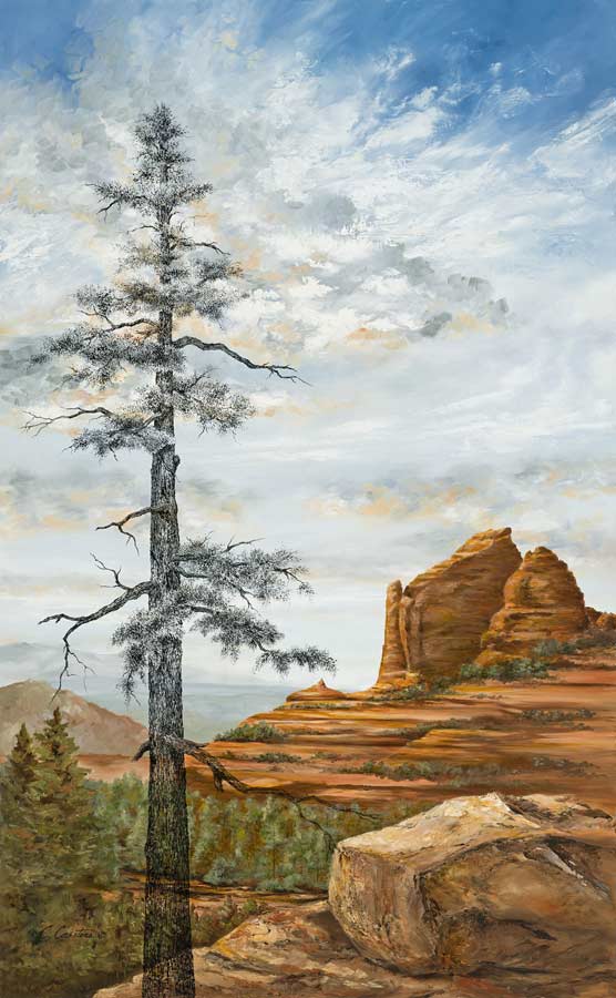 Image of Sedona Pine by Cyndy Carstens