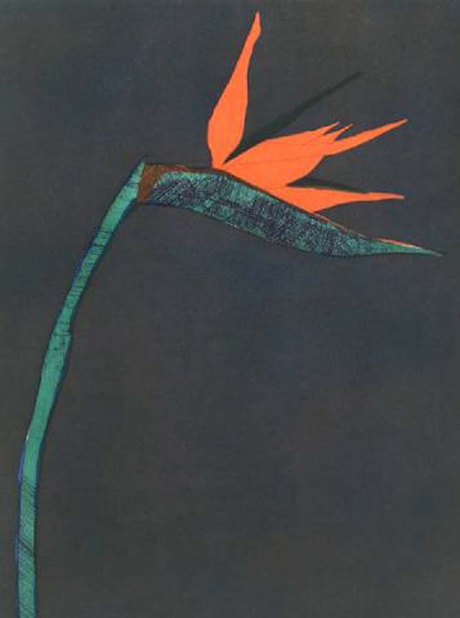 Image of Flower at Barcelona by Fritz Scholder