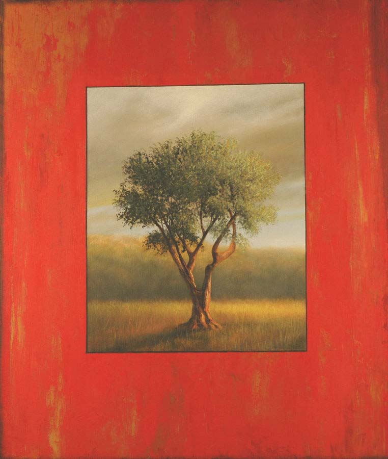 Image of Olive Tree 3 by Scott Duce