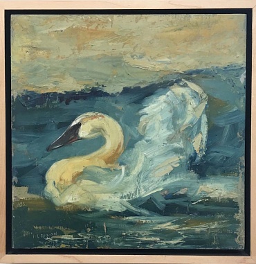 Image of Trumpeter Swan Near Shore by Mary Roberson