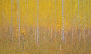 Image of Yellow Aspen Patterns by David Grossmann