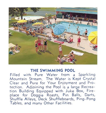 Image of The Swimming Pool by Robert Townsend