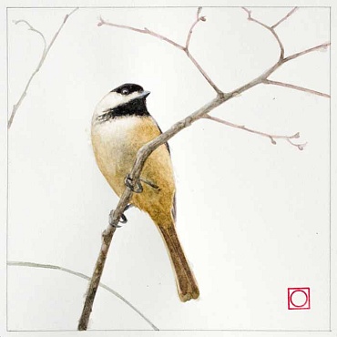 Image of Chickadee by Benjamin M Johnson