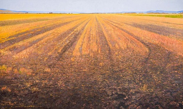 Image of Harrowed Field by Gary Ernest Smith