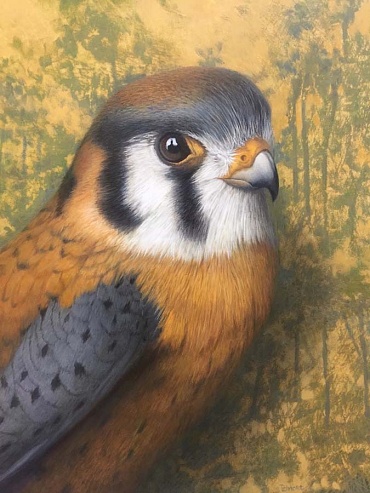 Image of Kestrel by Tom Palmore