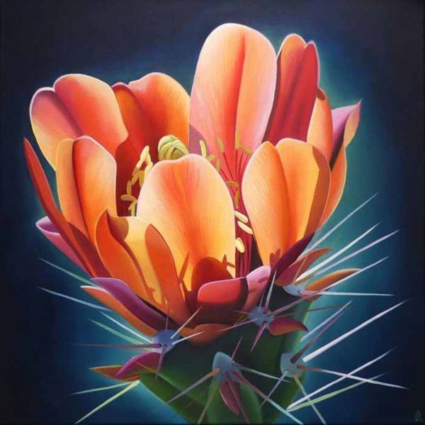 Arizona Jewelry Box, Agate Cholla Bloom and Turquoise by Dyana Hesson