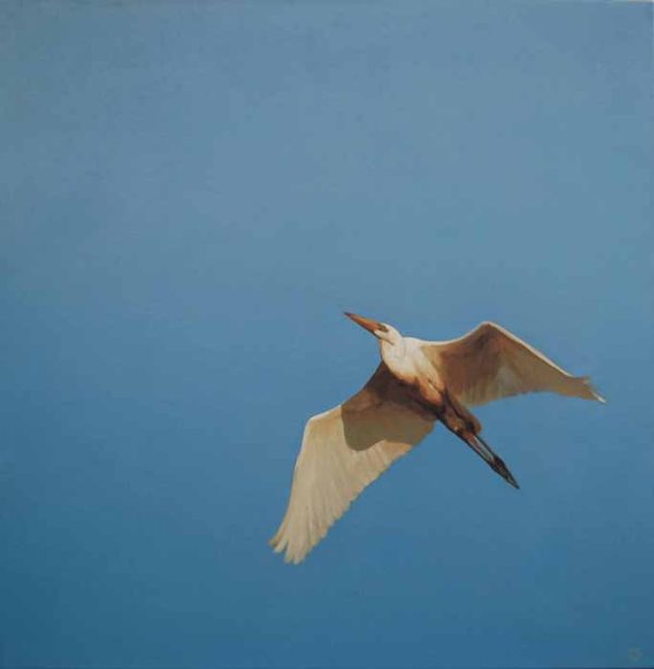 Flight – Egret by Benjamin M Johnson