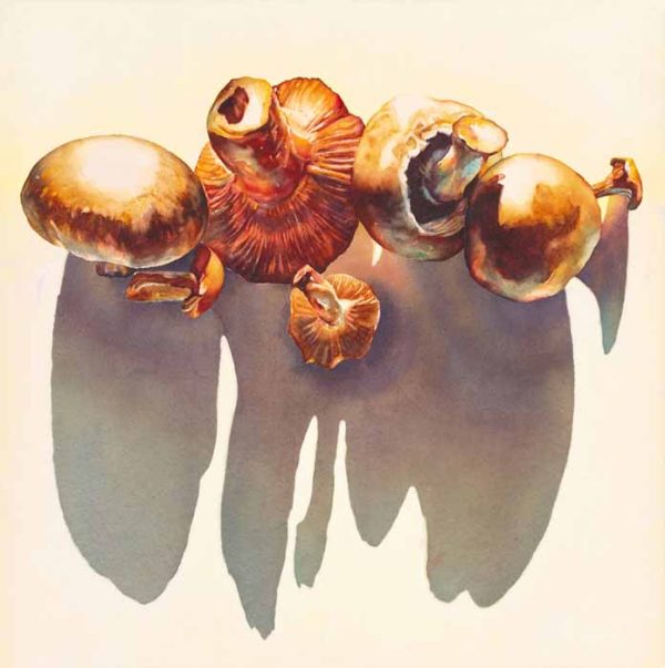 Seven Mushrooms by Kathrine Lemke Waste