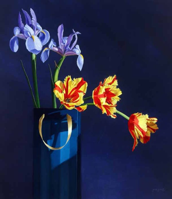 Special Occasion   by Jane Jones