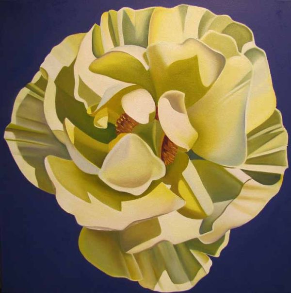 Vanilla Flower #101 by Dyana Hesson