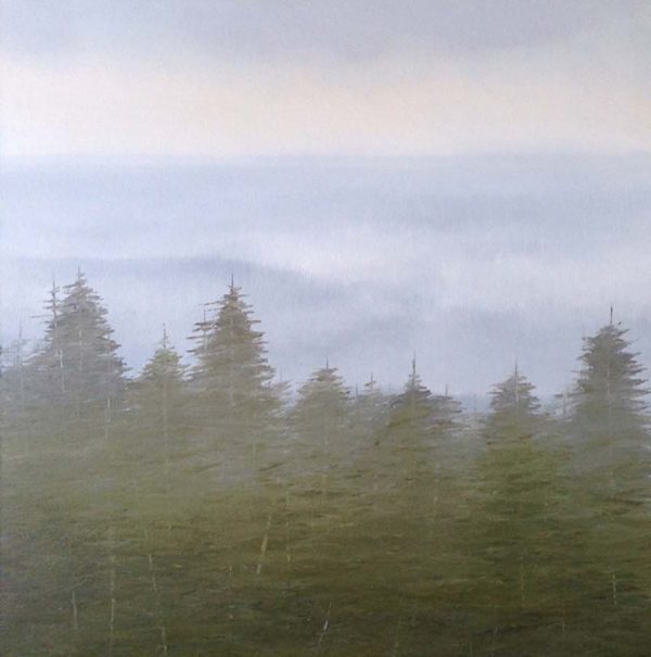 Overlook by Dave Hall