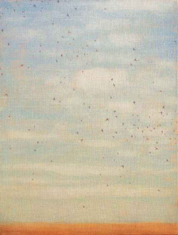 Summer Swallows by David Grossmann