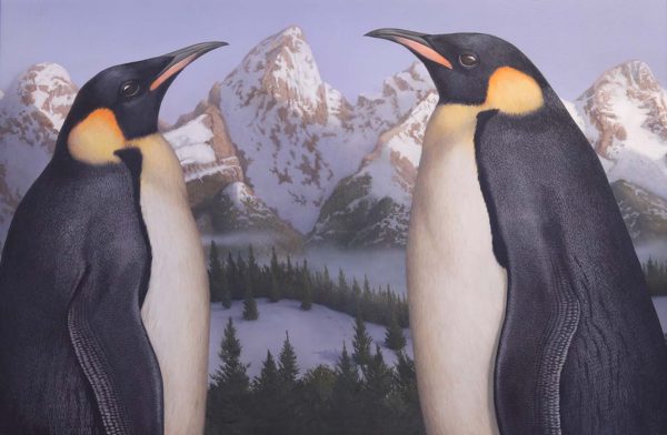 Teton Penguin’s by Tom Palmore
