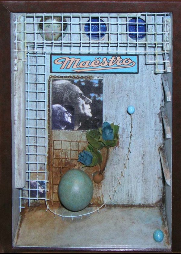 Maestro by Don Simmons